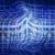 Hackers Hack Hackers in Bizarre Data Theft